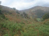 Northern slopes of Loughrigg