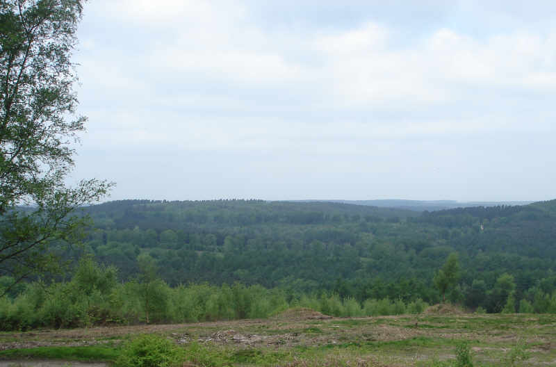 View from Castle Ring over Cannock Chase