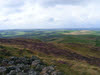 View north from Binsey