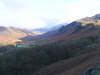 Trees in Eskdale 