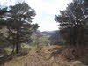 View south from Wren Crag