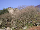 Eskdale from Redbrow Bank