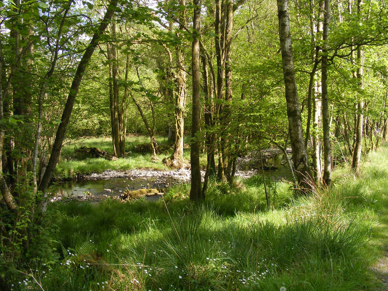 Cunsey Beck