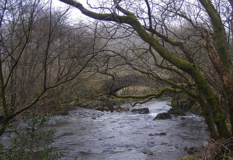 Doctor Bridge