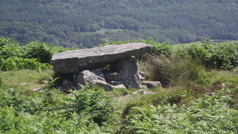 Ross's Camp