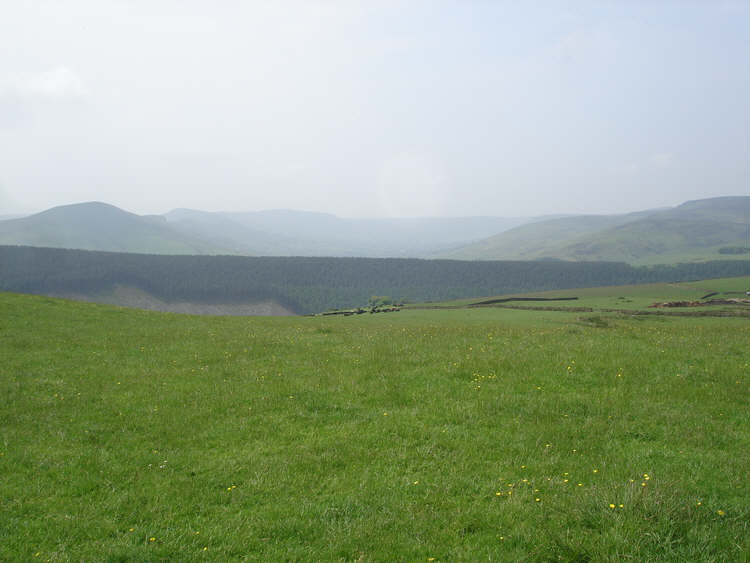Bridge End Pasture