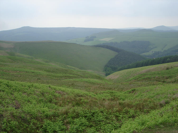 Grainfoot Clough
