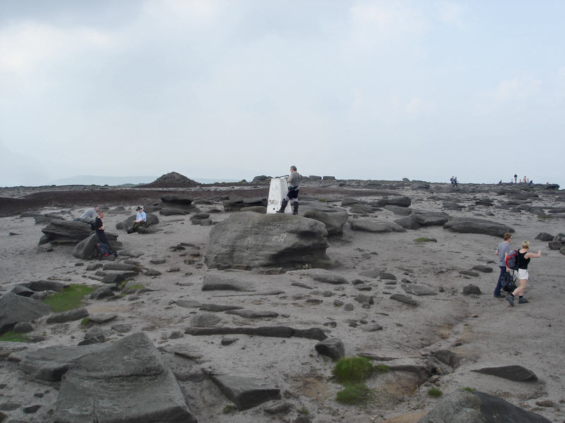 Kinder Low